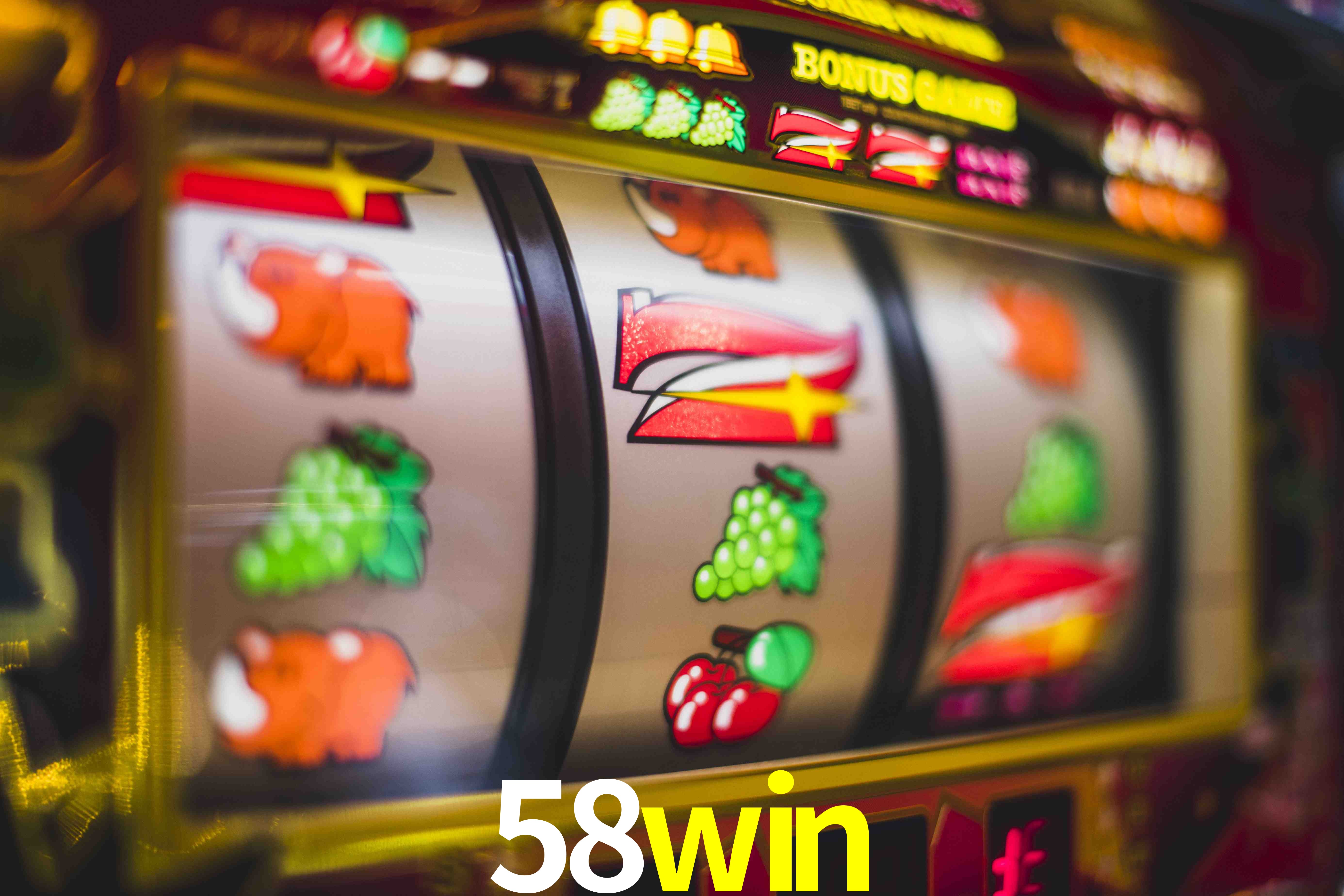 Sports Statistics 58win
