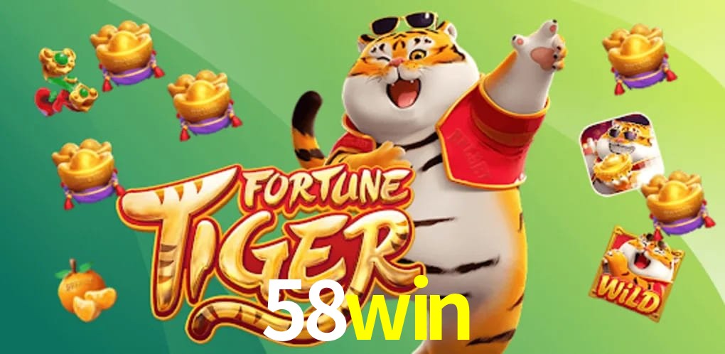 Experiência VIP 58win